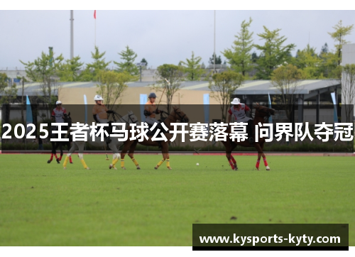 2025王者杯马球公开赛落幕 问界队夺冠